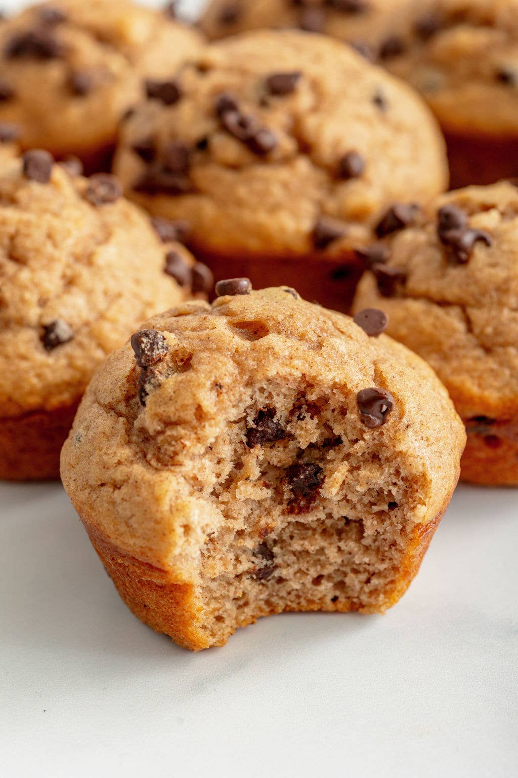 Pumpkin Chocolate Chip Muffin Mix