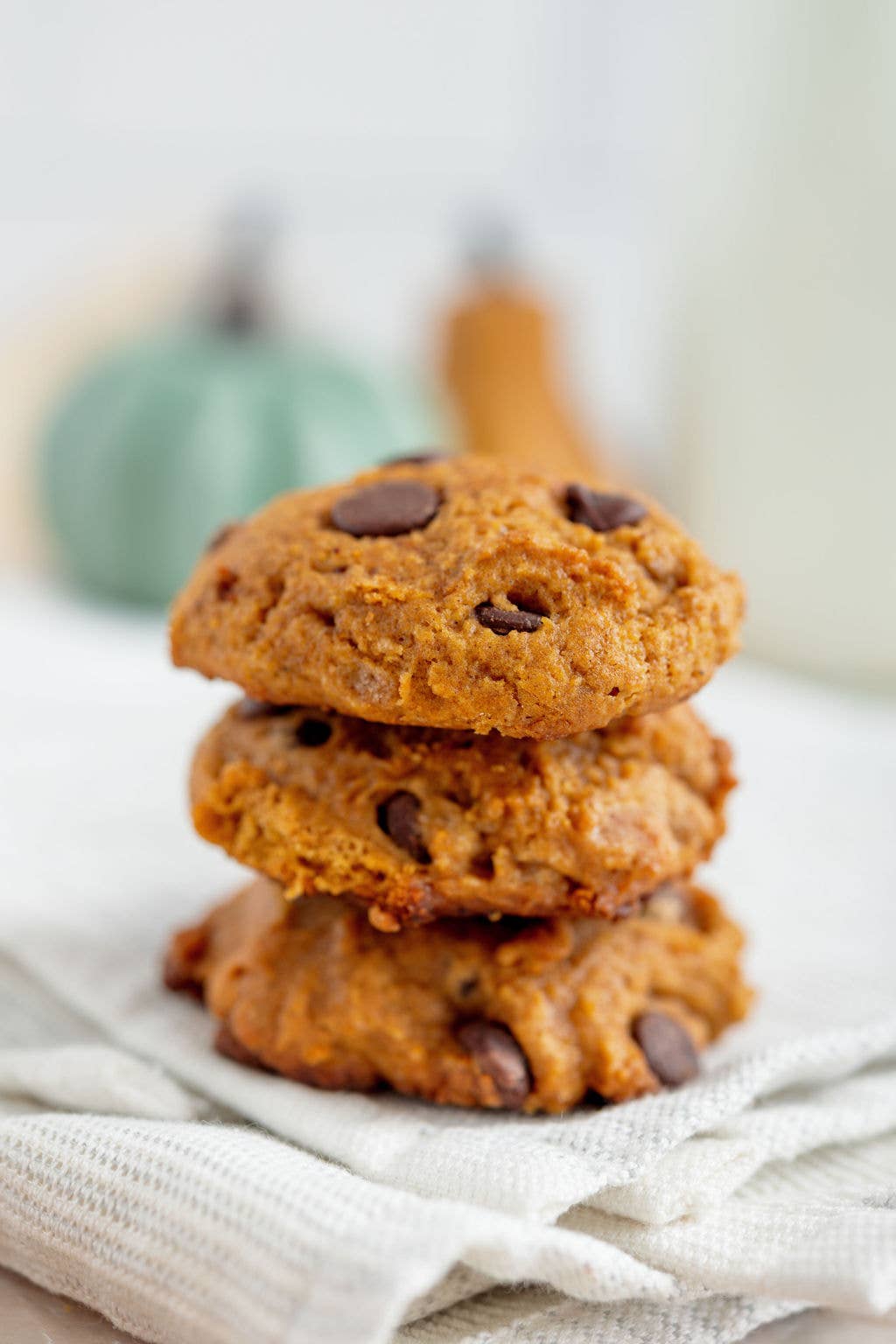 Pumpkin Chocolate Chip Cookie Mix