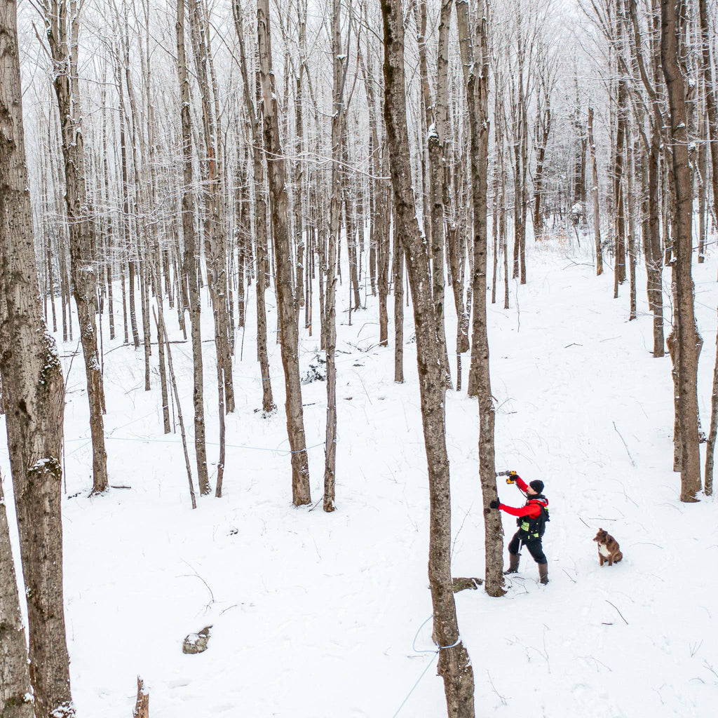 Organic Dark Maple Syrup