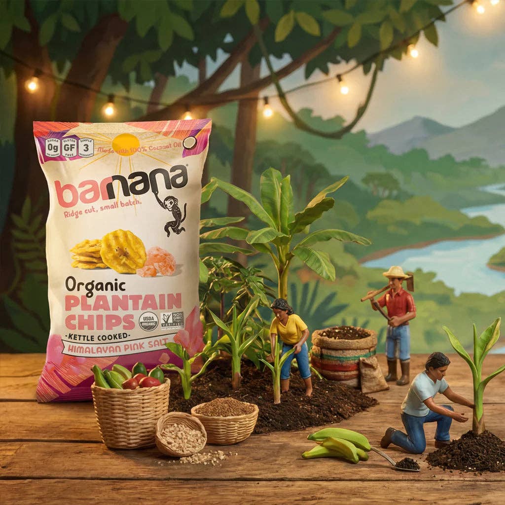 Organic Kettle Cooked Himalayan Pink Salt Plantain Chips
