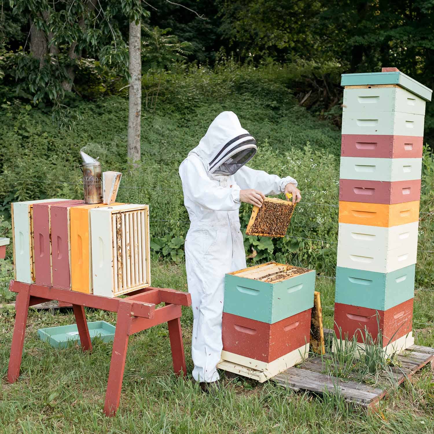 Vermont Raw Honey