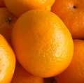 Single Mandarin