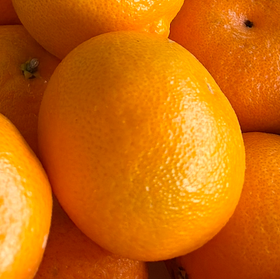 Single Mandarin