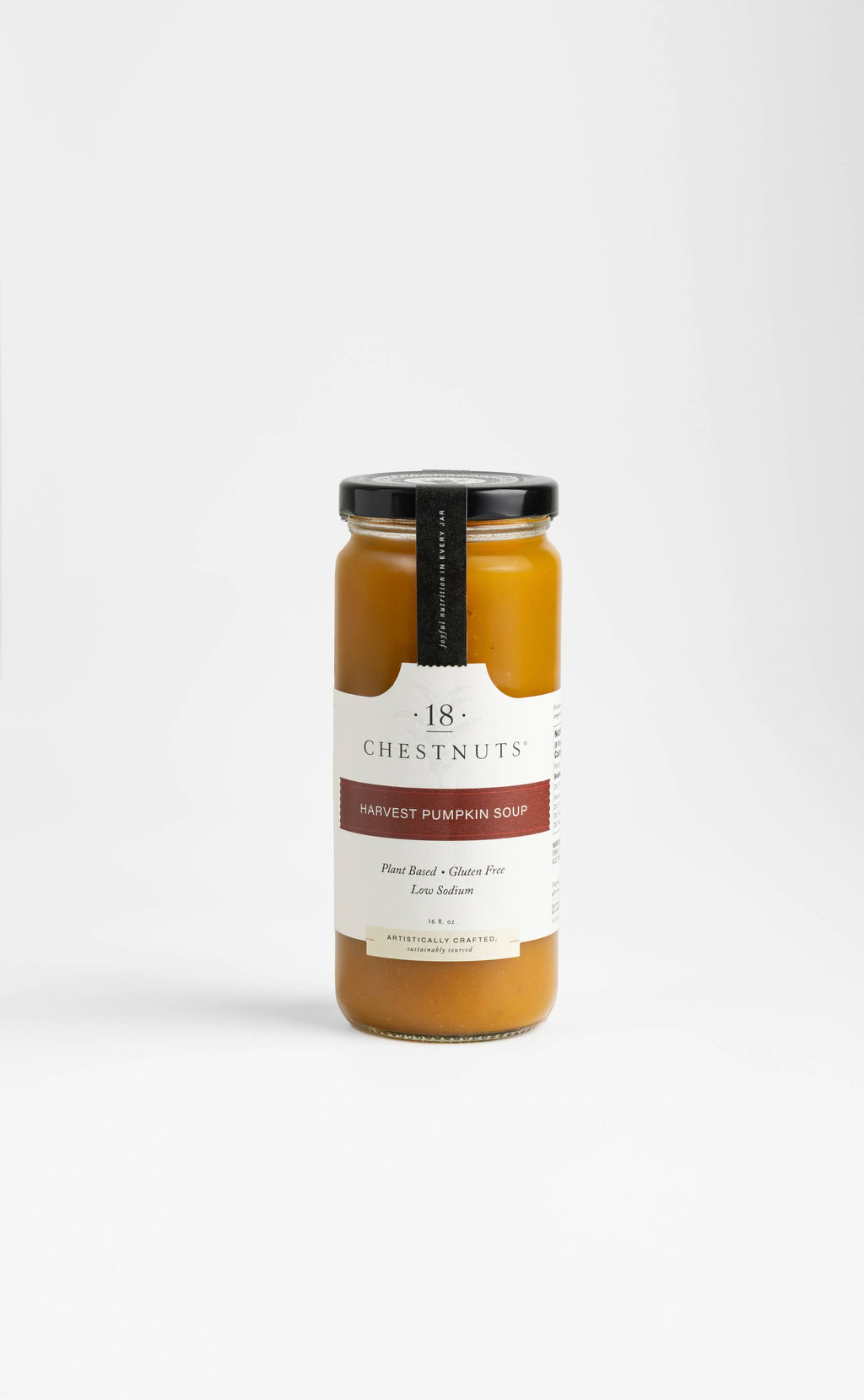 Harvest Pumpkin Soup